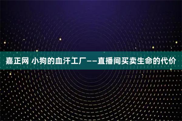 嘉正网 小狗的血汗工厂——直播间买卖生命的代价
