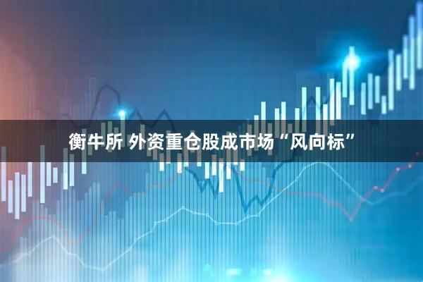 衡牛所 外资重仓股成市场“风向标”