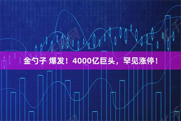 金勺子 爆发！4000亿巨头，罕见涨停！